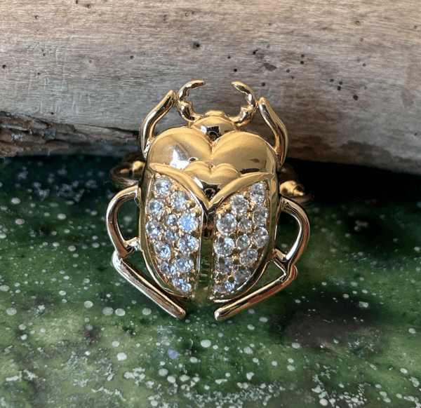 Scarabée brillant sur chaîne torsadée – Image 3