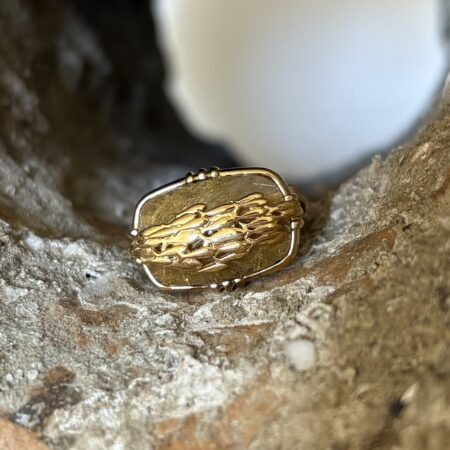 Bague Banc de poisson