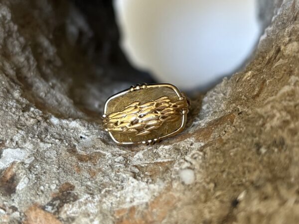 Bague Banc de poisson