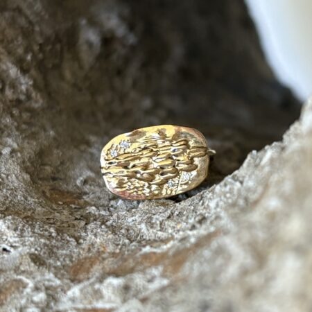 Bague Médaille banc de Poisson