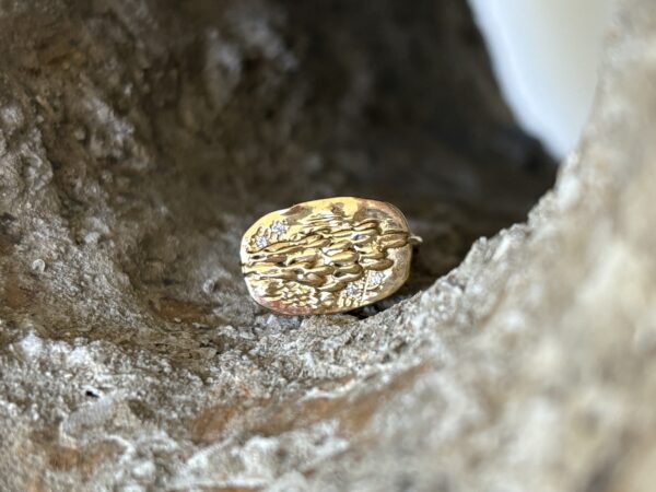 Bague Médaille banc de Poisson
