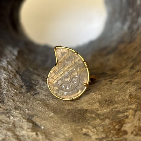 Bague Ammonite